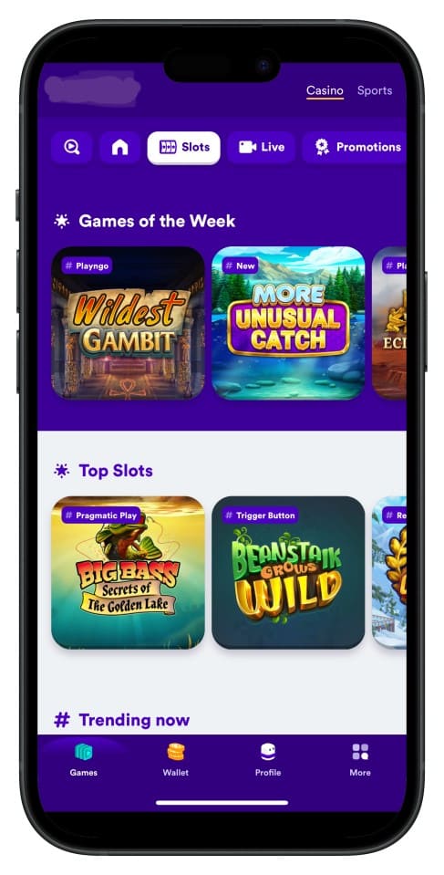 BD222 অ্যাপ ইন্টারফেস স্ক্রিনশট—ইন্টুইটিভ মেনু ও পরিষ্কার লেআউট